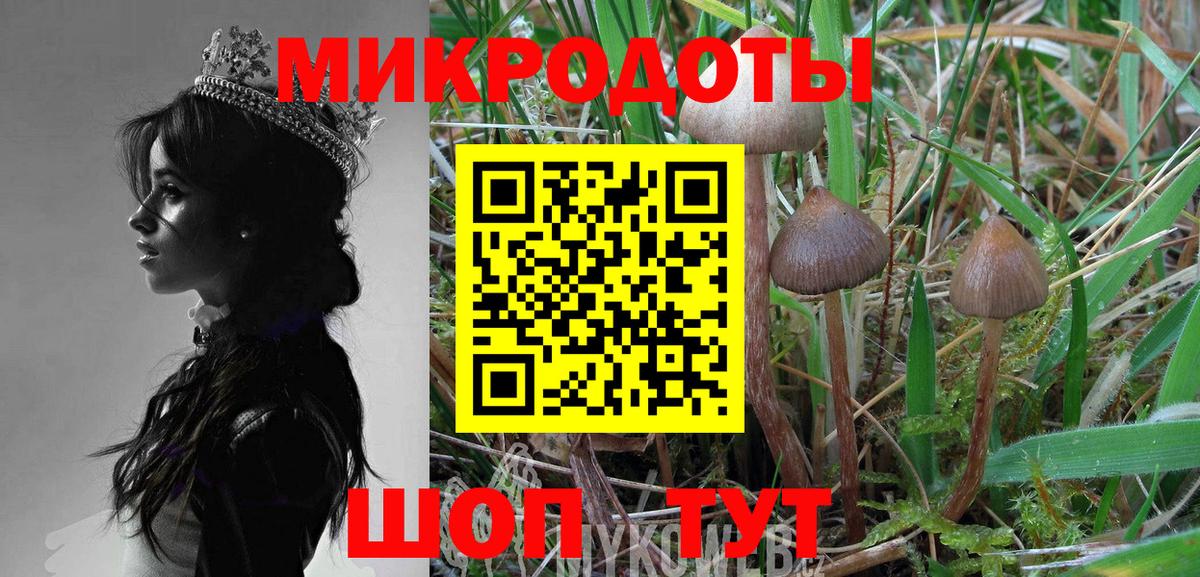 Псилоцибиновые грибы Psilocybine cubensis  Вход с VPN  Междуреченск  Псилоцибиновые грибы MAGIC MUSHROOMS 