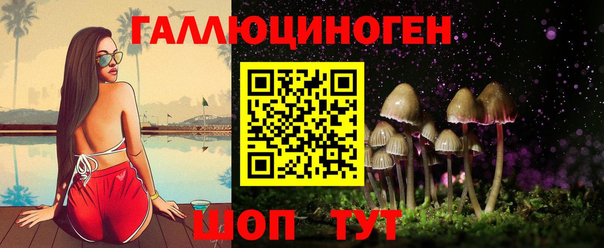 Галлюциногенные грибы мухоморы Междуреченск